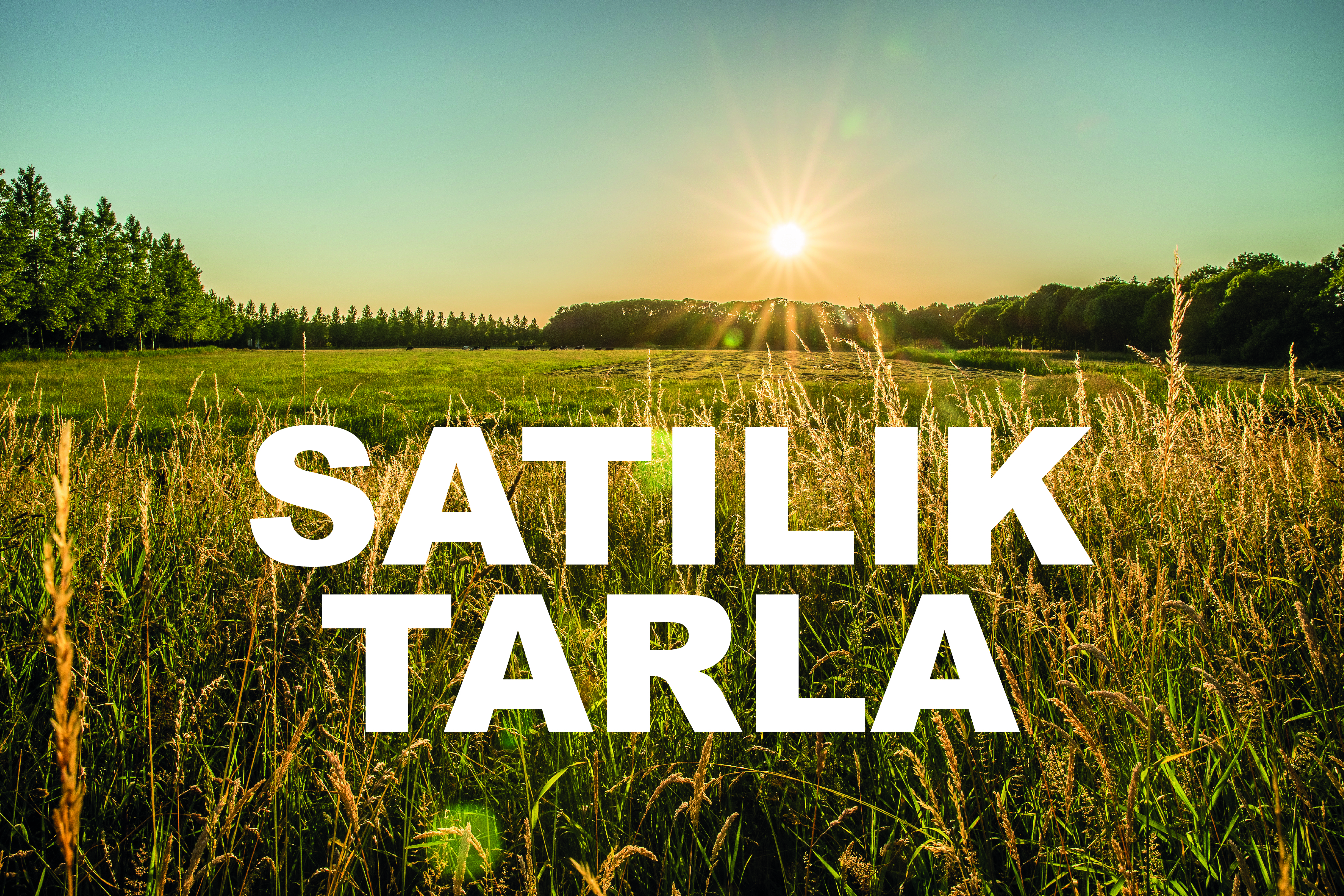 Antalya-Burdur Karayolu Üzerinde Tarla